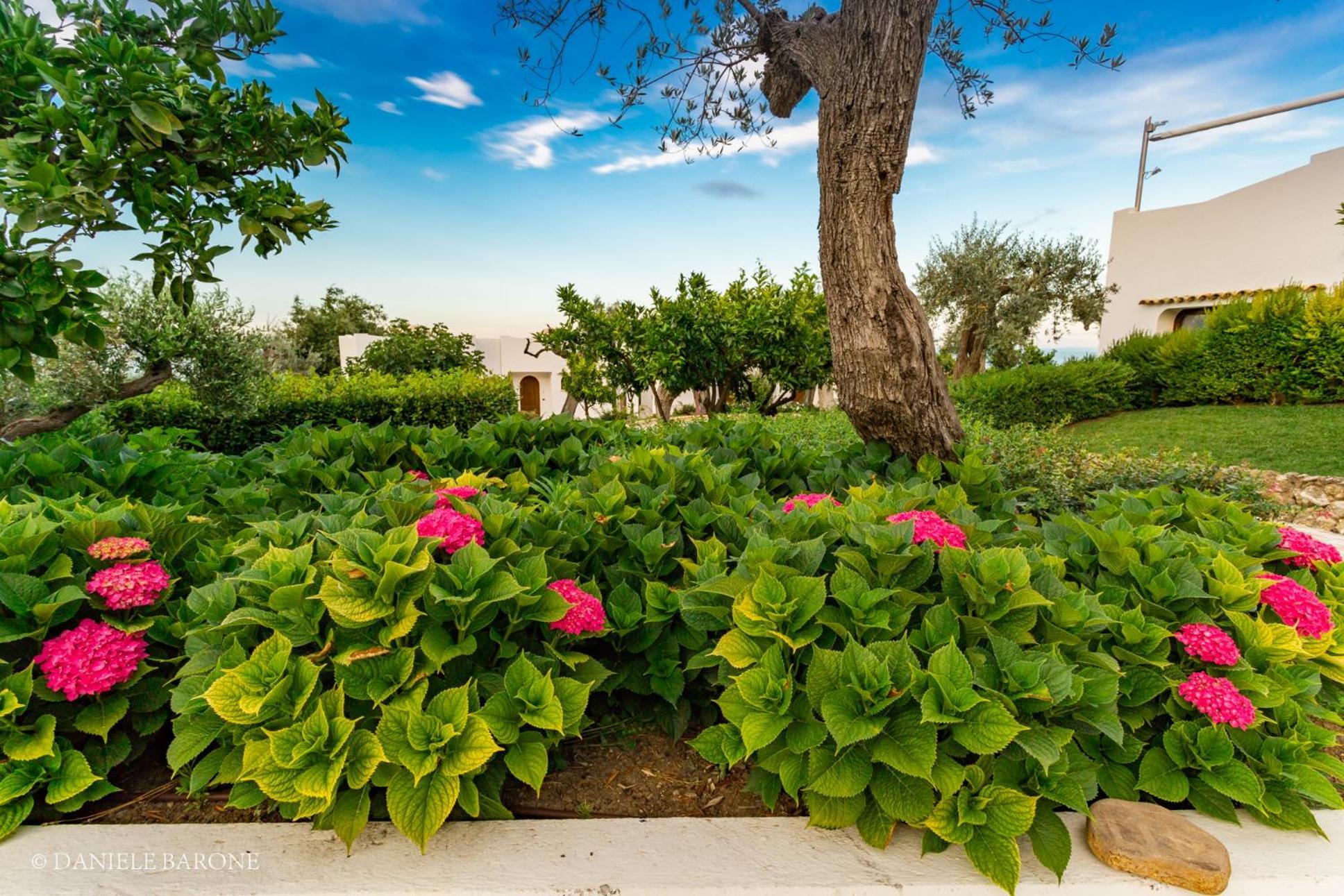 ואסטו Baia Delphis Resort מראה חיצוני תמונה